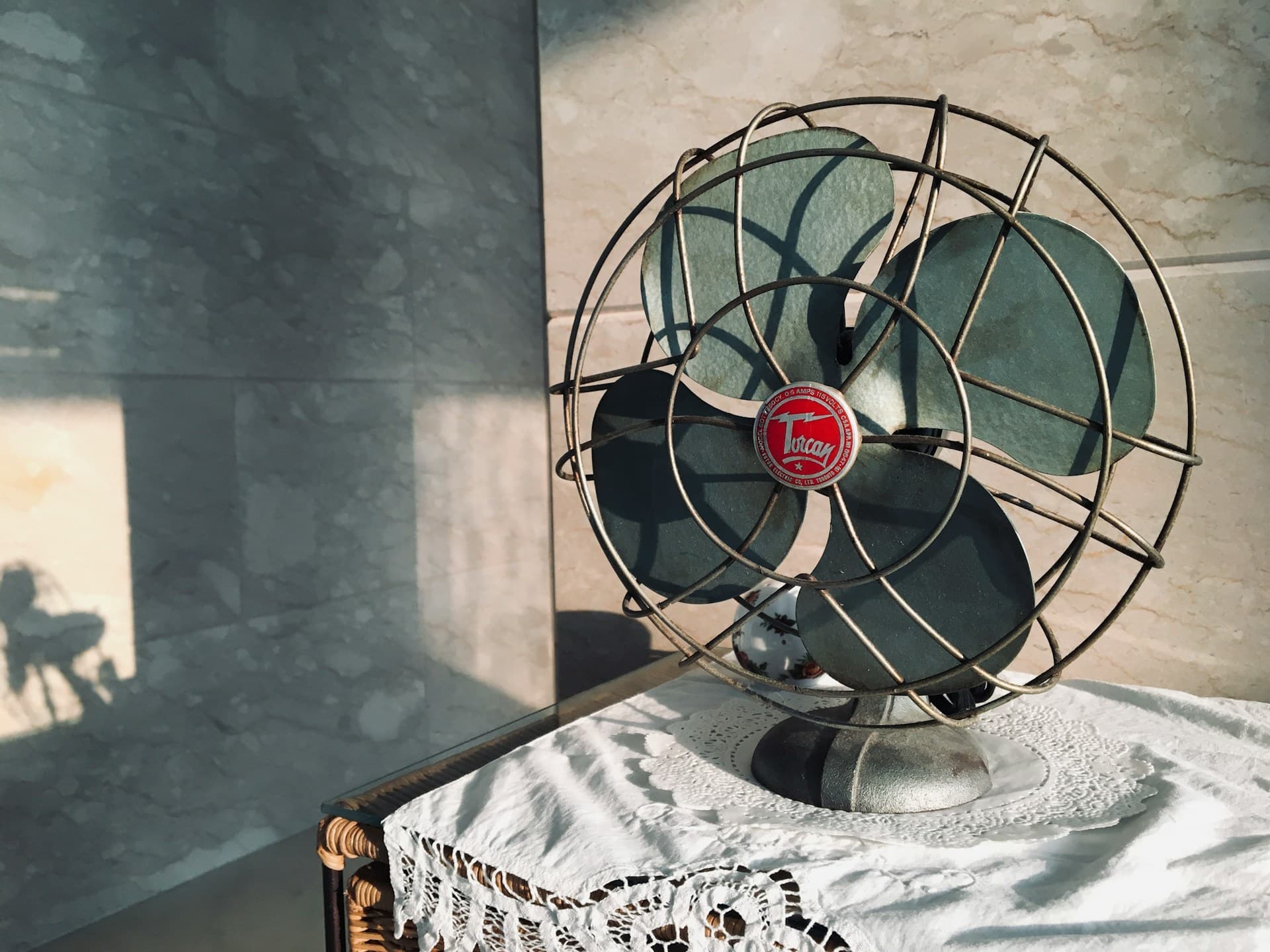 Electric Fan Repair